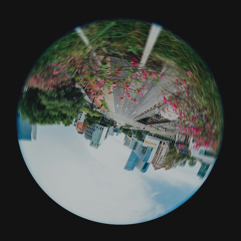 Homecoming Upside Down