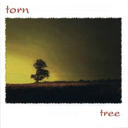 Torn Tree